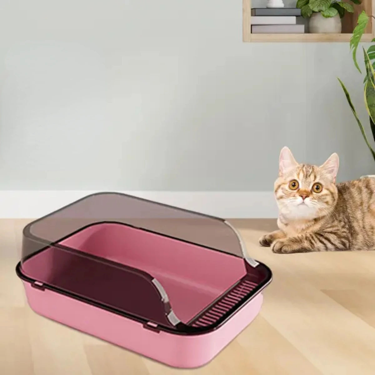 Open Top Cat Litter Box Kitty Litter Pan Anti Splashing Heighten Large Kitten Potty Toilet  Small Animals Rabbit Indoor Cats