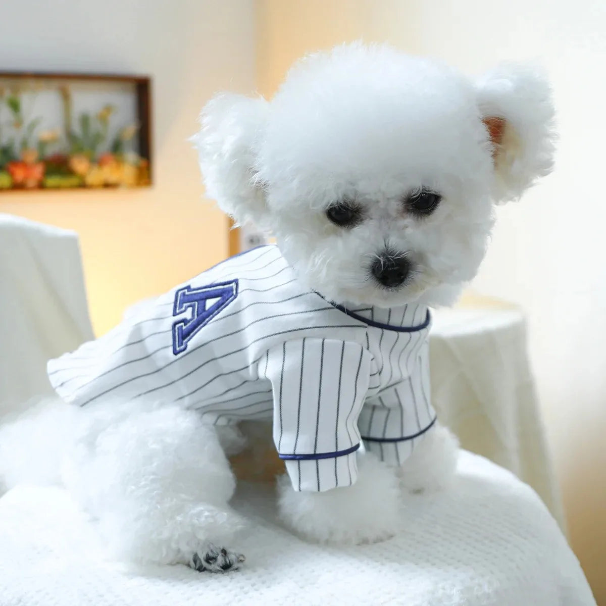 Summer Puppy Clothes Blouse Dogs Pet Dog Doggy Clothing Shirts Shirt Spring Pets Apparel Supplie