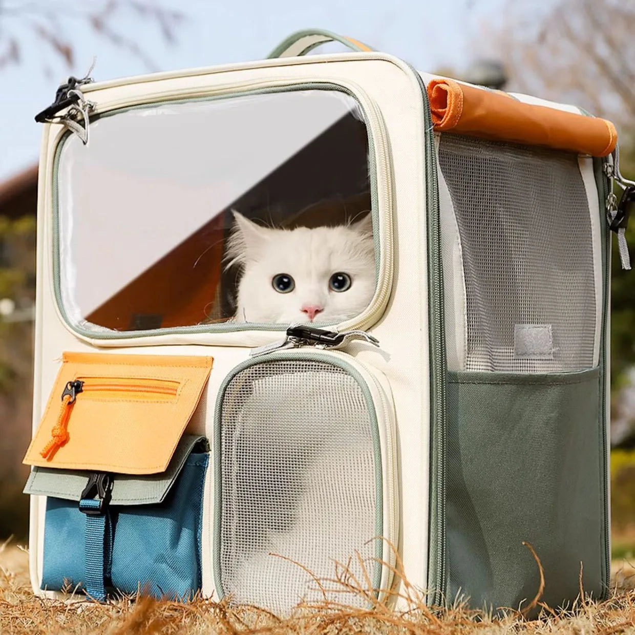 Cats Travel Bag Portable Out Pet Trolley Suitcase Universal Small Dogs Bag Cat Backpack Detachable Pet Supplies