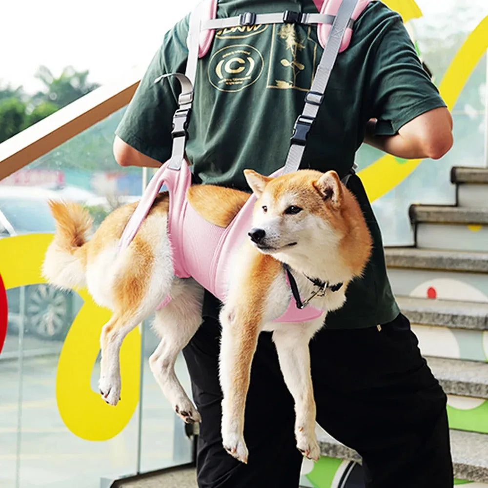 Dog Carriers Things for Dogs Pet Accessories Backpack Basket Carrying Bags Cats Bag Pets Transport Supplies