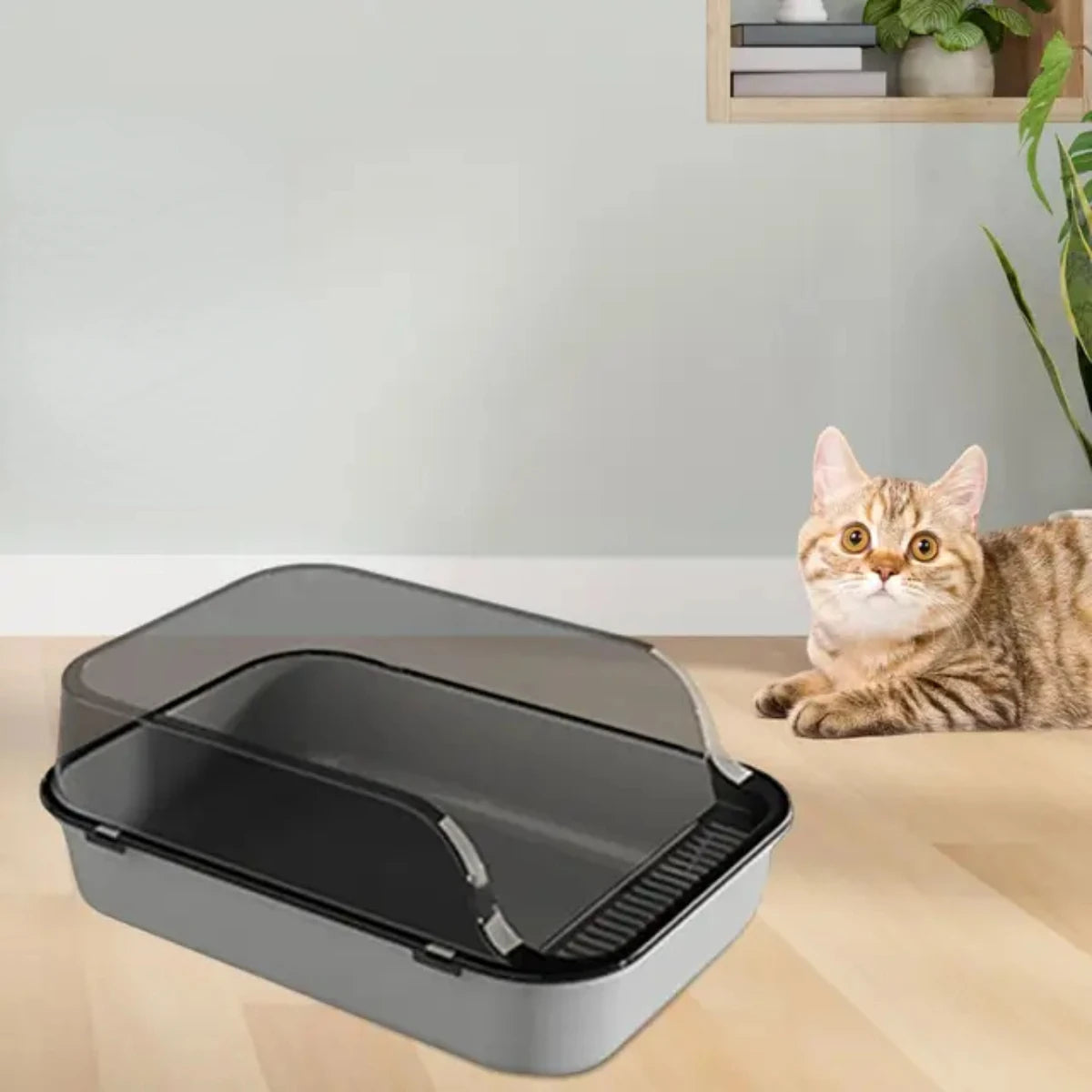 Open Top Cat Litter Box Kitty Litter Pan Anti Splashing Heighten Large Kitten Potty Toilet  Small Animals Rabbit Indoor Cats