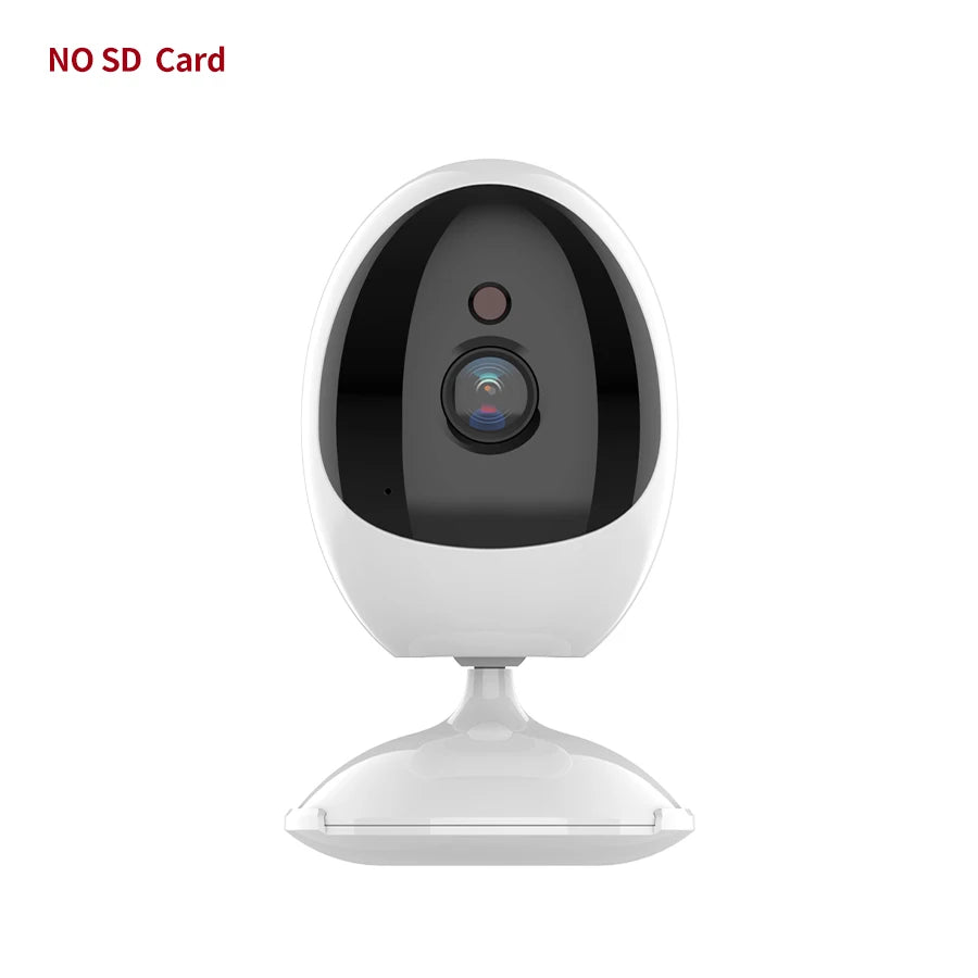 1080P Security Protection WIFI Indoor Baby/Elderly/Pet Night Vision Monitoring Mini Camera Human Detection Two-Way Audio