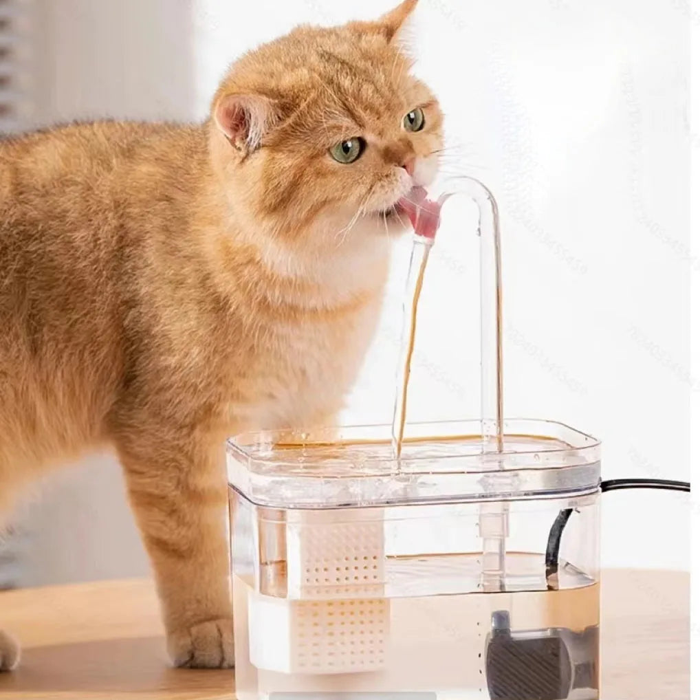Automatic Pet Water Fountain, Transparent USB Power Cat Water Dispenser For Indoor Dog And Cat Water Feeding Supplies