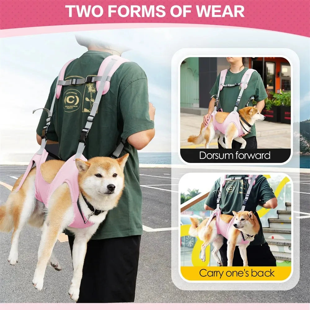 Dog Carriers Things for Dogs Pet Accessories Backpack Basket Carrying Bags Cats Bag Pets Transport Supplies