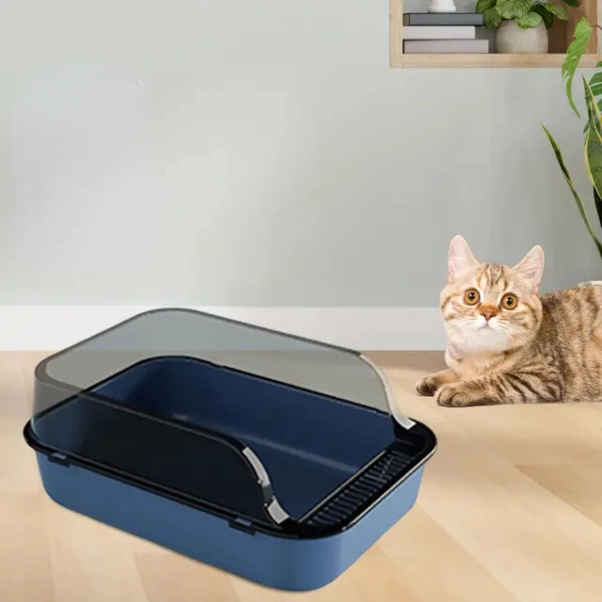 Open Top Cat Litter Box Kitty Litter Pan Anti Splashing Heighten Large Kitten Potty Toilet  Small Animals Rabbit Indoor Cats