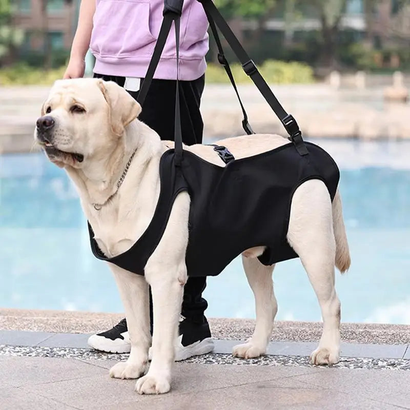 Dog Lift Harness For Stairs Dog Recovery Sling Thicken Handle Dog Assist Belt Pet Rehabilitation Lift Vest Thicken Handle