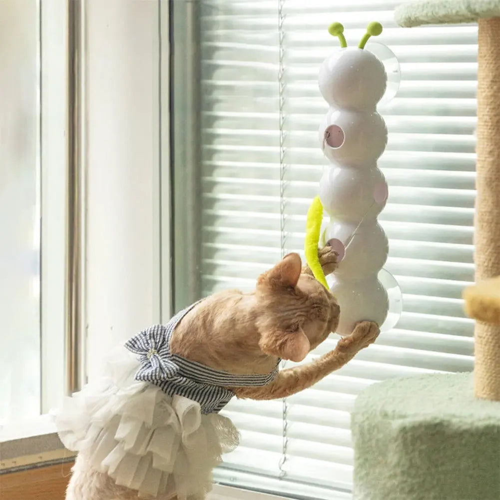 Cat playing with a caterpillar-shaped toy near a window