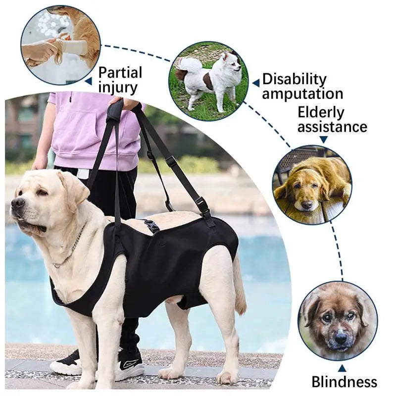 Dog Lift Harness For Stairs Dog Recovery Sling Thicken Handle Dog Assist Belt Pet Rehabilitation Lift Vest Thicken Handle