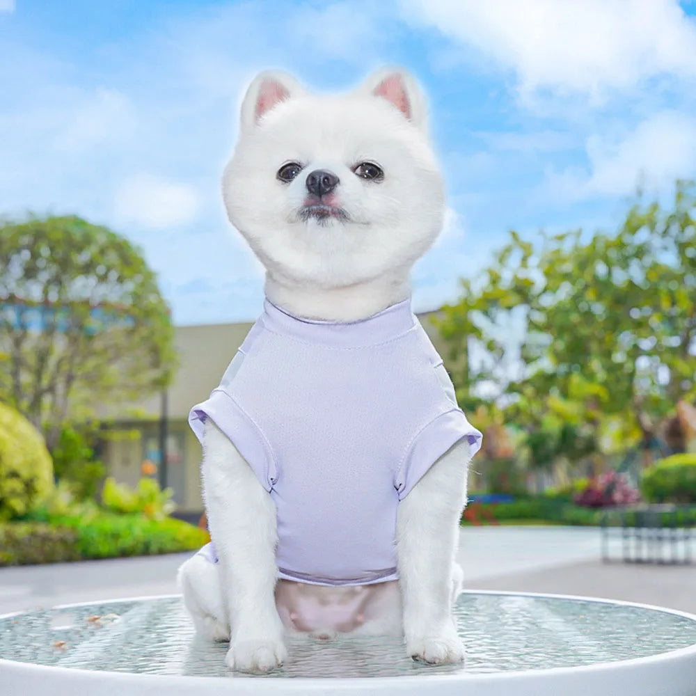 Summer Cooling Dog Vest Small Dog Clothes Sport Puppy Costume Chihuahua Bichon Yorkie Doggy T-Shirts Pet Mesh Sunscreen Clothing