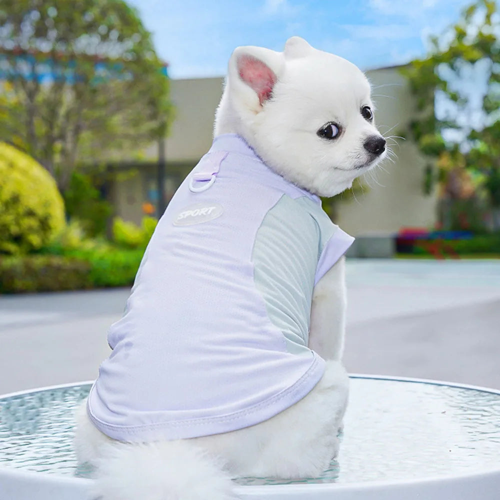 Summer Cooling Dog Vest Small Dog Clothes Sport Puppy Costume Chihuahua Bichon Yorkie Doggy T-Shirts Pet Mesh Sunscreen Clothing