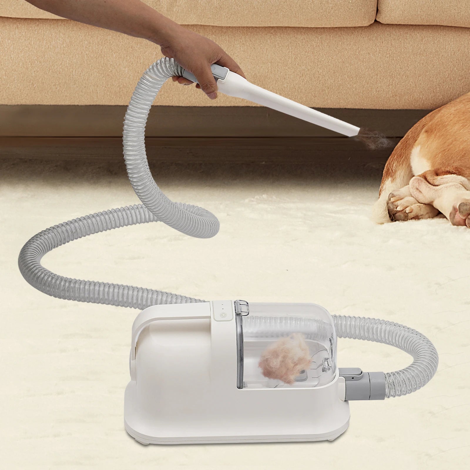 Pet Hair Grooming Tool Set Shaving Combing And 11800pa Suction Low Noise Hair Trimmer Three-in-One Pet Hair Grooming Tool