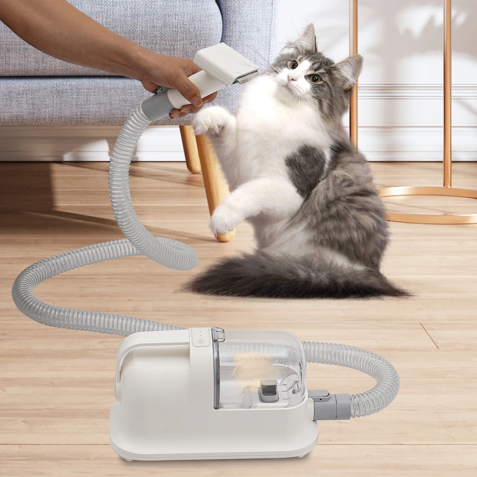 Pet Hair Grooming Tool Set Shaving Combing And 11800pa Suction Low Noise Hair Trimmer Three-in-One Pet Hair Grooming Tool