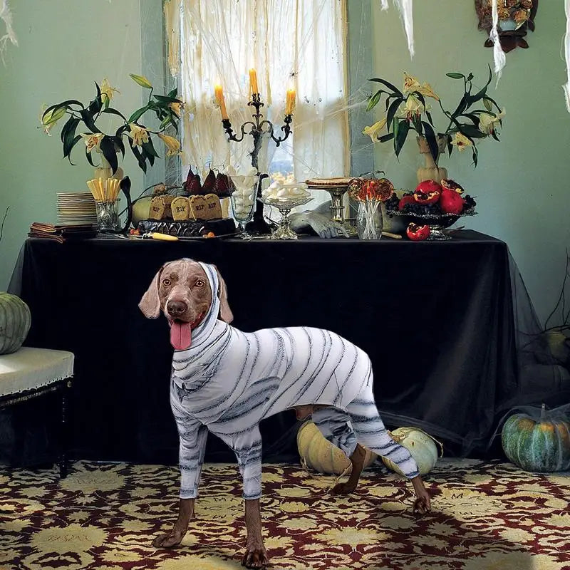 Dog Halloween Costumes Mummy Skeleton Halloween Costume Pet Cosplay Costume Funny Halloween Cat Clothes Reusable Dog Halloween