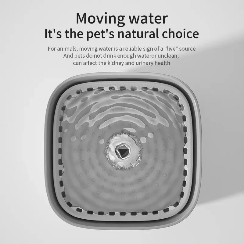 Standard /Upgrade 3L Cat Water Fountain Auto Recirculate Filter Large Capacity Cat Water Drinker USB Mute Cats Water Dispenser