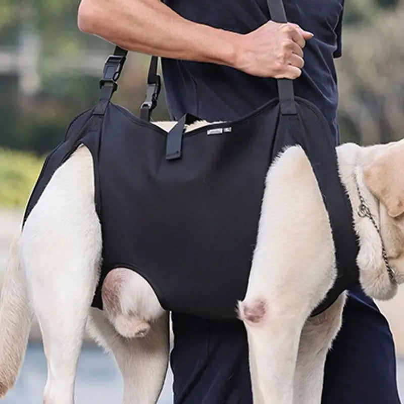 Dog Lift Harness For Stairs Dog Recovery Sling Thicken Handle Dog Assist Belt Pet Rehabilitation Lift Vest Thicken Handle