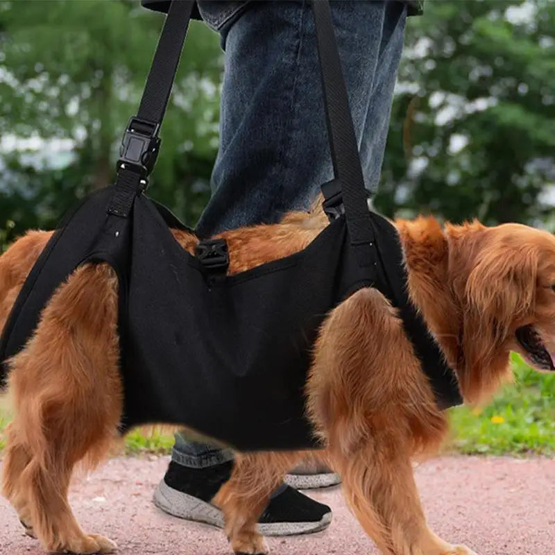 Dog Lift Harness For Stairs Dog Recovery Sling Thicken Handle Dog Assist Belt Pet Rehabilitation Lift Vest Thicken Handle